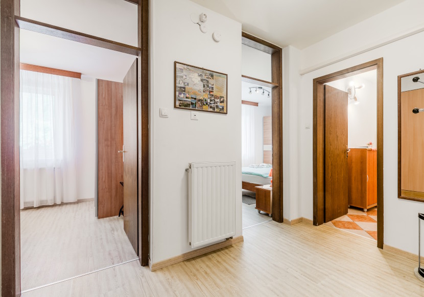 Apartment Silva Tolmin