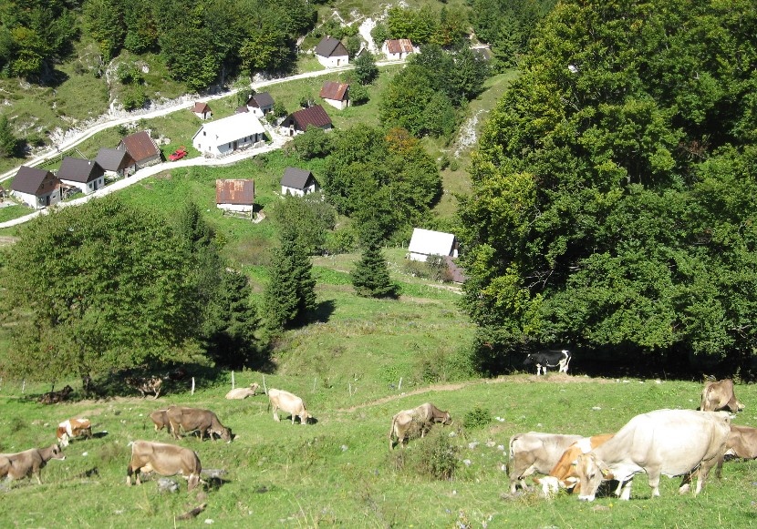 Apartments in Tolmin